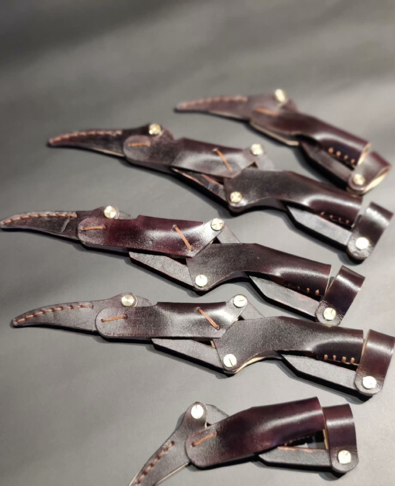 Devil's Claw